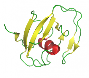 LCCL structure