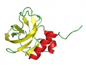 NTR structure